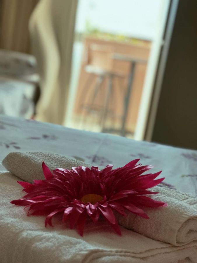 Pousada Rota Das Praias 페냐 외부 사진